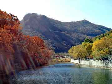 正版澳门天天开彩大全，傲虎油耗